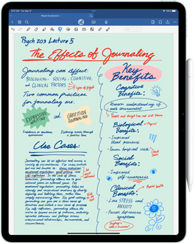 iPad Pro 屏幕上顯示 Goodnotes 6 app