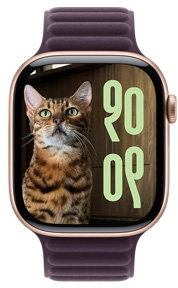 Apple Watch 屏幕展示貓咪照片表盤(pán)，時(shí)間大小和語(yǔ)言文字均為自定義